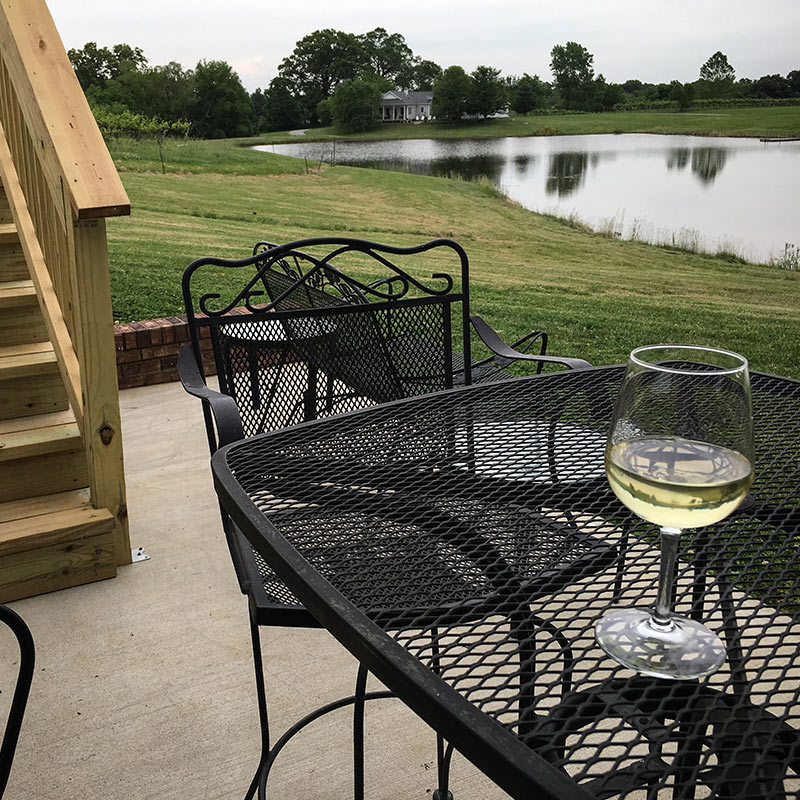 Lakefront Vineyard in Southern Illinois